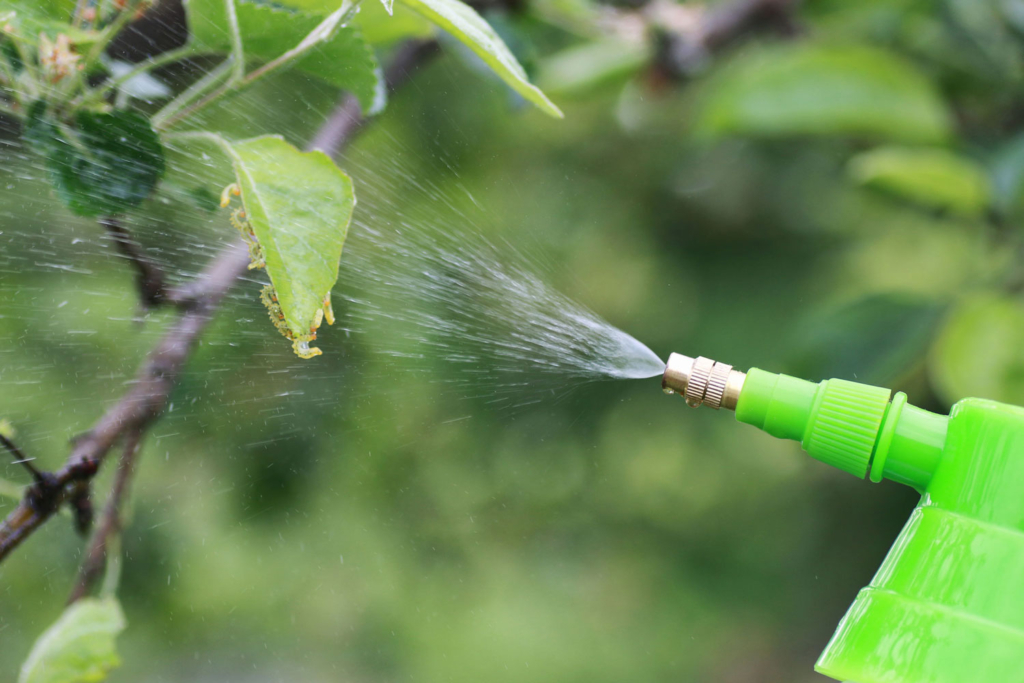 Uno spruzzatore verde che spruzza acqua su un albero.