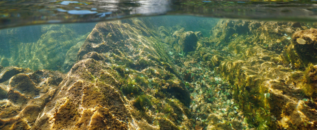 une vue sous-marine d'une zone rocheuse dans l'eau.