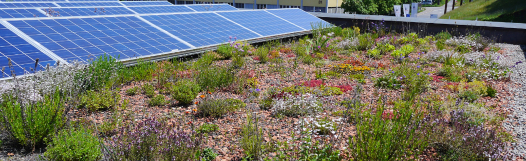 ein Gründach mit Sonnenkollektoren und Pflanzen.