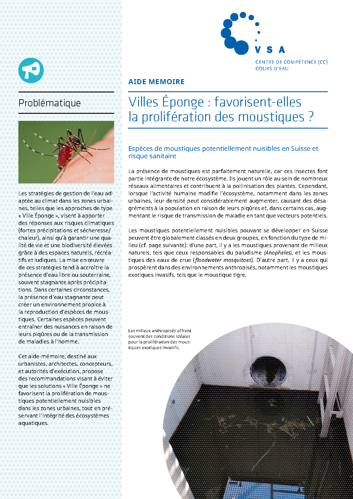 Ville éponge et moustiques