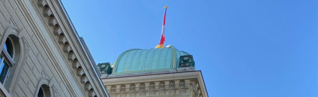 die Spitze eines Gebäudes mit einer Flagge darauf.