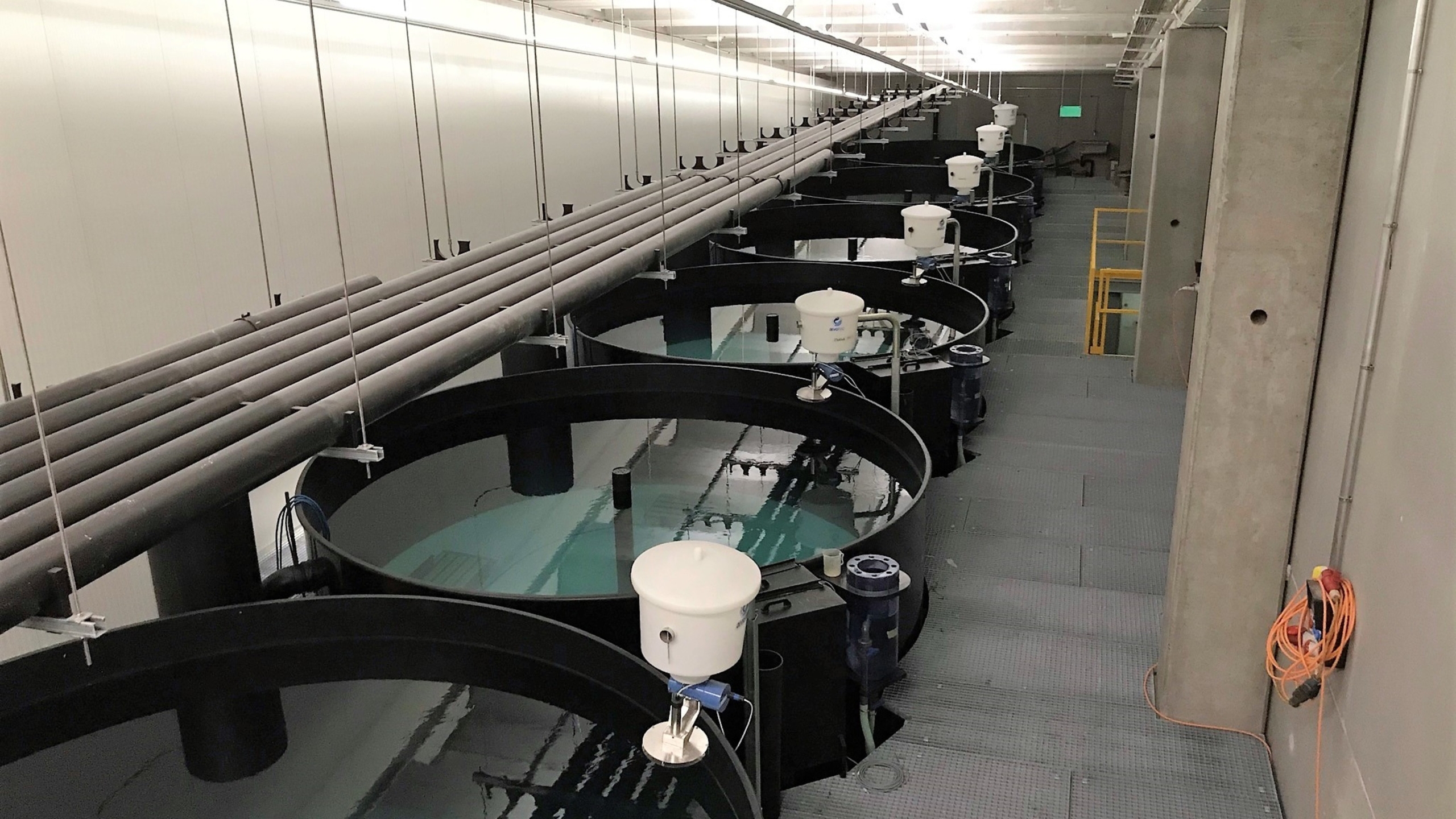 Gro&szlig;e &uuml;berdachte Anlage mit mehreren runden Wassertanks, Rohren dar&uuml;ber und an jedem Tank angebrachten Ger&auml;ten, die wahrscheinlich f&uuml;r die Fischzucht oder die Wasserforschung genutzt werden.