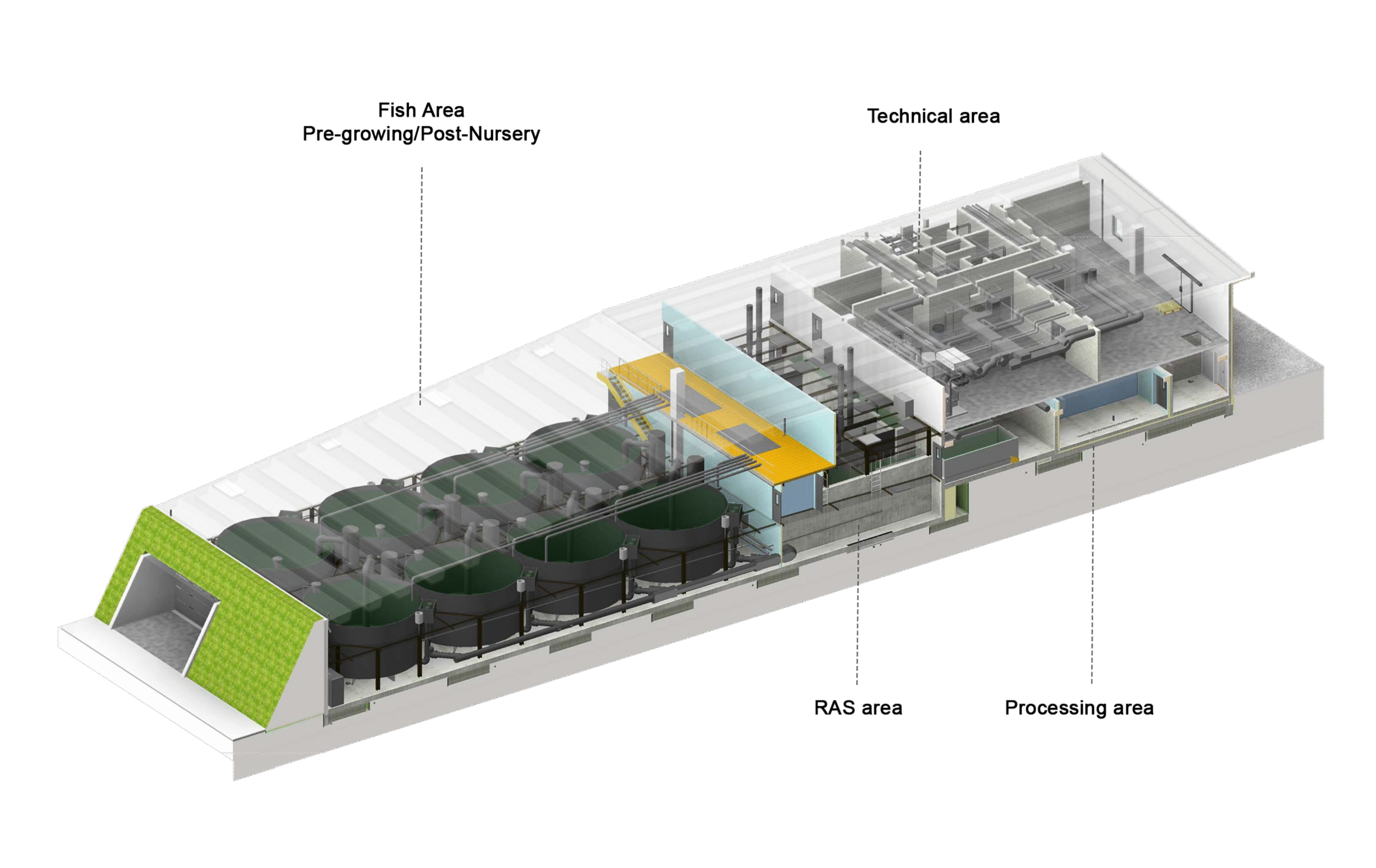 Schema einer Aquakulturanlage mit beschrifteten Abschnitten: Fischbereich vor der Aufzucht/nach der Aufzucht, technischer Bereich, RAS-Bereich und Verarbeitungsbereich.