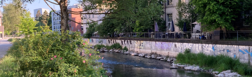 Ein schmaler Fluss fließt neben einem mit Graffiti versehenen Betonufer, das von Grünflächen und Gebäuden unter einem sonnigen Himmel gesäumt wird.