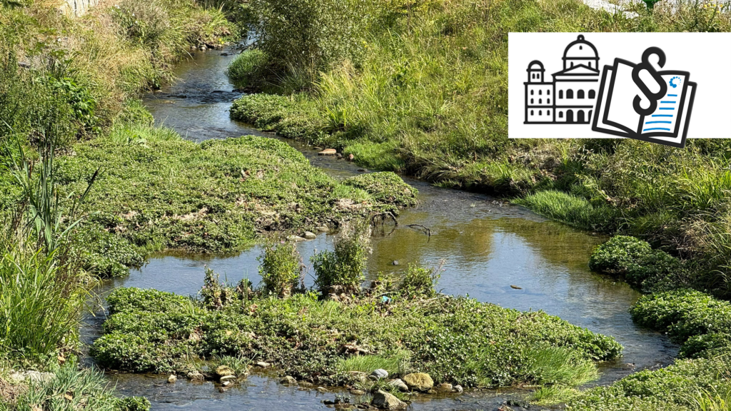 Ein kleiner Bach mit grüner Vegetation und Gras an den Ufern, überlagert von einem illustrierten Regierungs- und Politiksymbol in der oberen rechten Ecke.