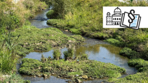 Ein kleiner Bach mit gr&uuml;ner Vegetation und Gras an den Ufern, &uuml;berlagert von einem illustrierten Regierungs- und Politiksymbol in der oberen rechten Ecke.