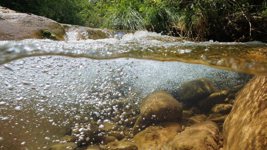 Ansicht eines klaren Flusses mit Felsen unter Wasser und einer sprudelnden Wasseroberfläche, mit grüner Vegetation entlang der Ufer.