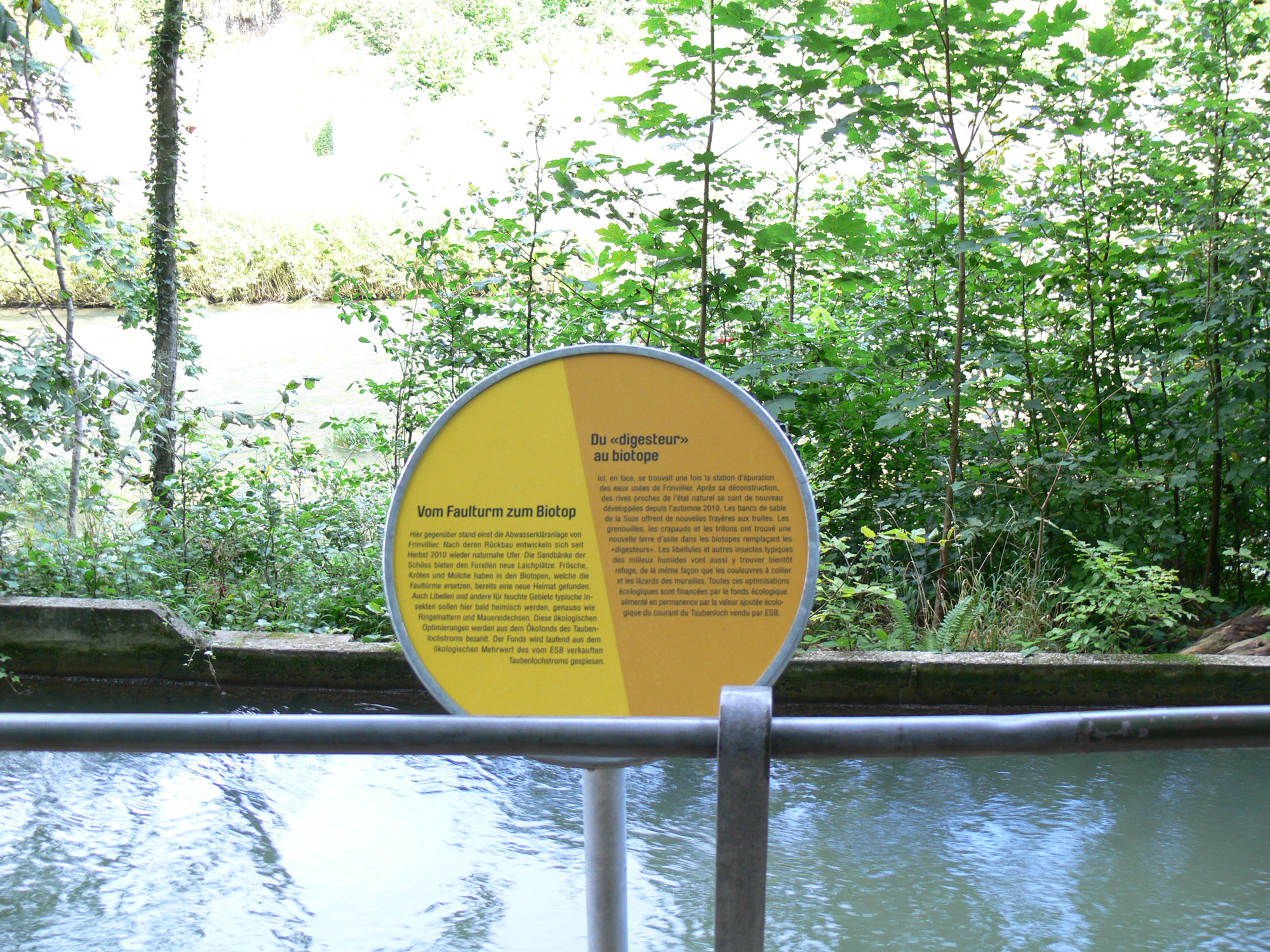 Ein rundes, gelb-orangefarbenes Hinweisschild mit deutschem Text steht an einem Gel&auml;nder in der N&auml;he eines Flusses, umgeben von gr&uuml;nen B&auml;umen und Laub.
