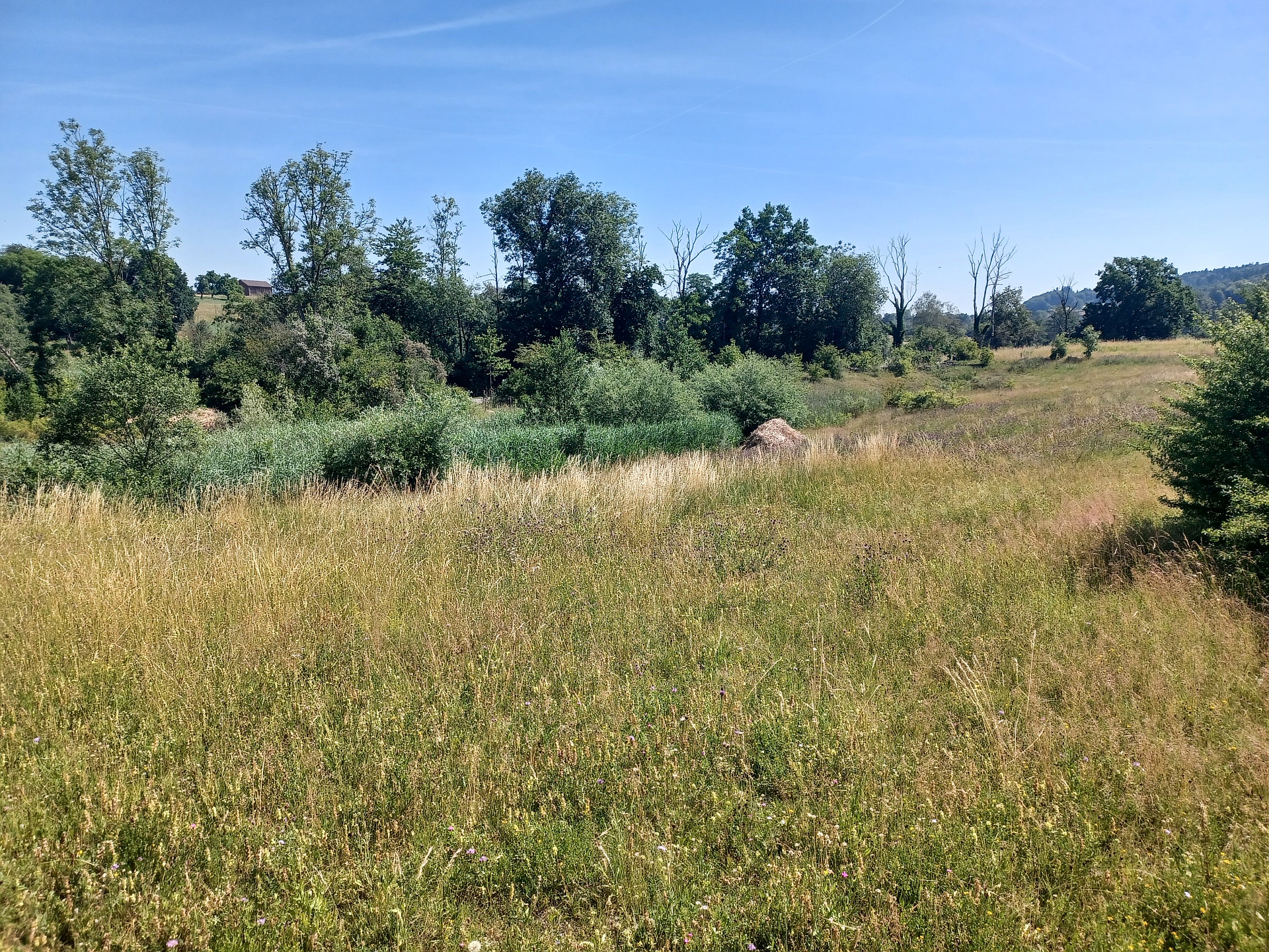 Blick von Südwesten auf das Pro Natura Schutzgebiet Eymatte/Höchbachweiher (Stand 2026)
